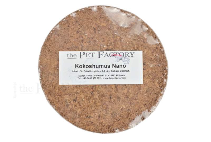 Preview: Kokoshumus